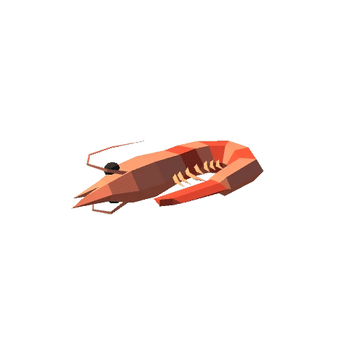 Shrimp C